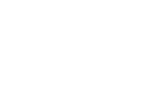 flutter