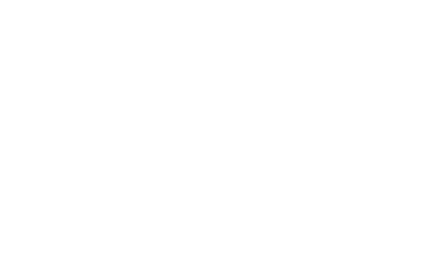 guidewire