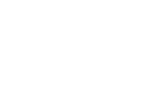 pimcore