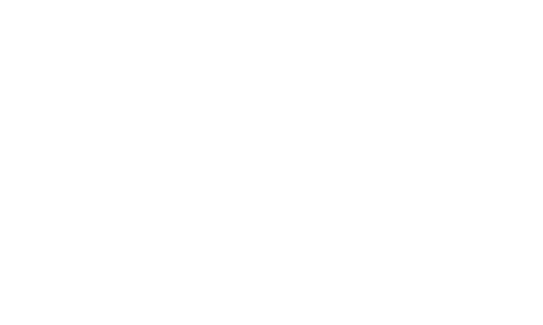 tiktok-for-business