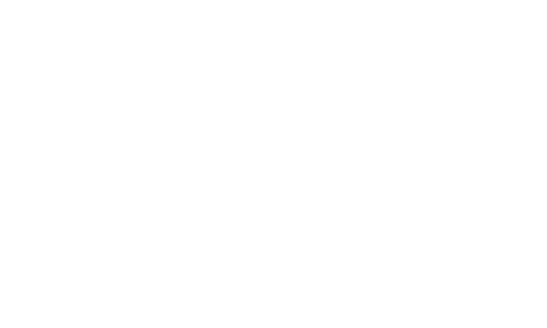 01-bullhorn
