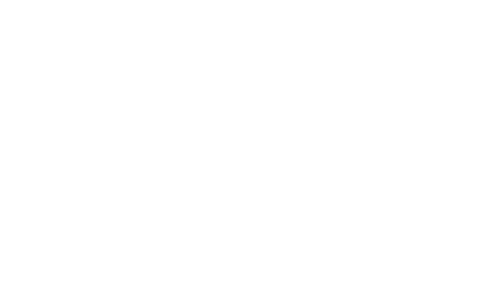 04-ion