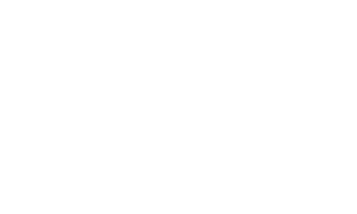 05-vincere